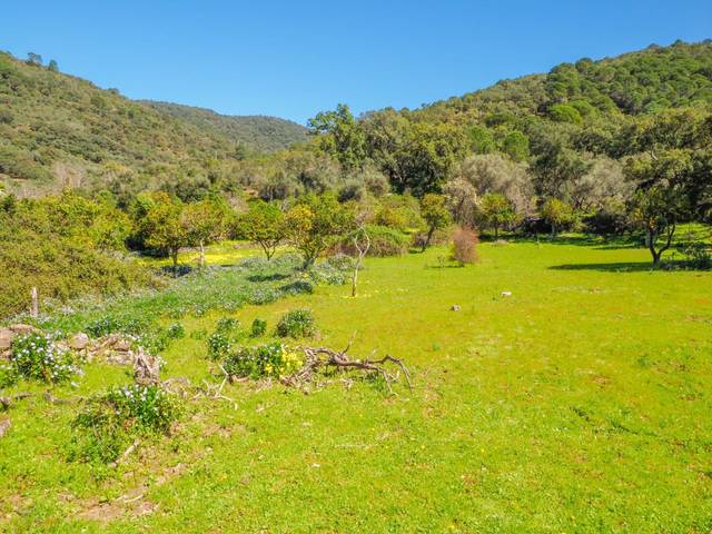 Terreno en Venta en Calle Colon, 3 en Linares de la Sierra