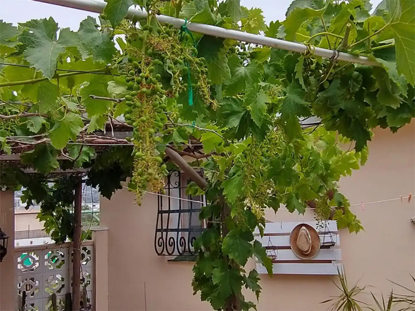 Terrassa de Casa o xalet en venda en Marbella amb Aire condicionat, Piscina i Balcó