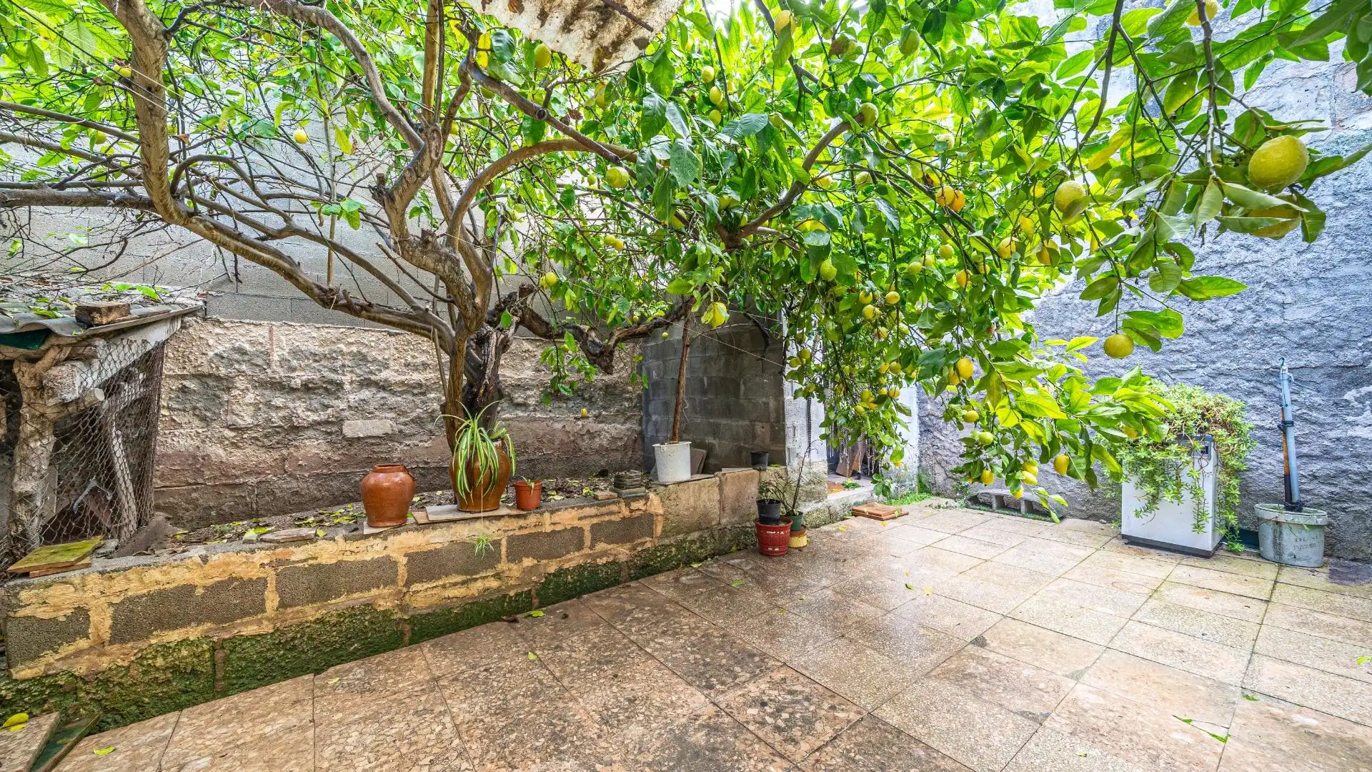 Garden of Houses for sale in Manacor