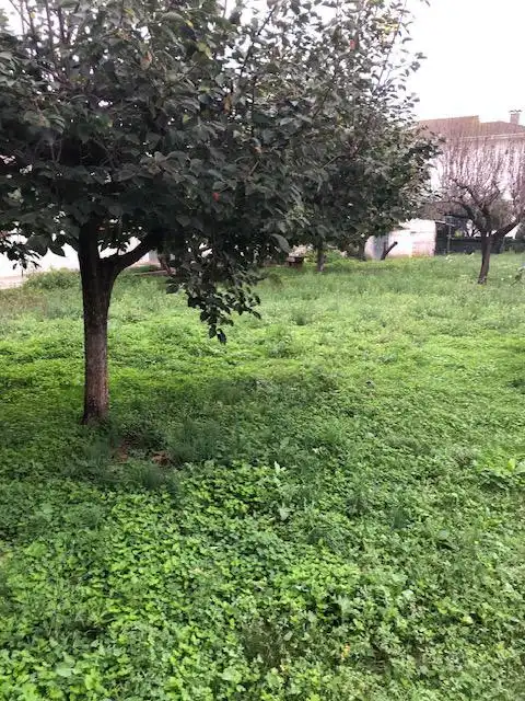 Terreny residencial en venda a Les Franqueses del Vallès, imagen 24