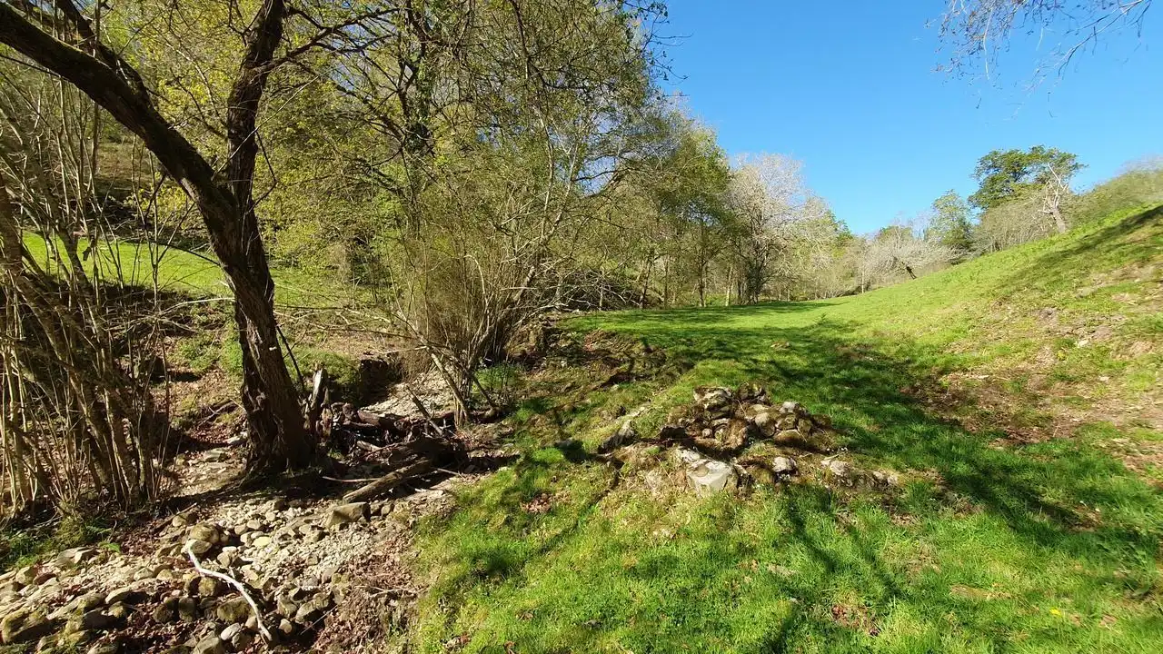 Finca rústica en venta en Llanes