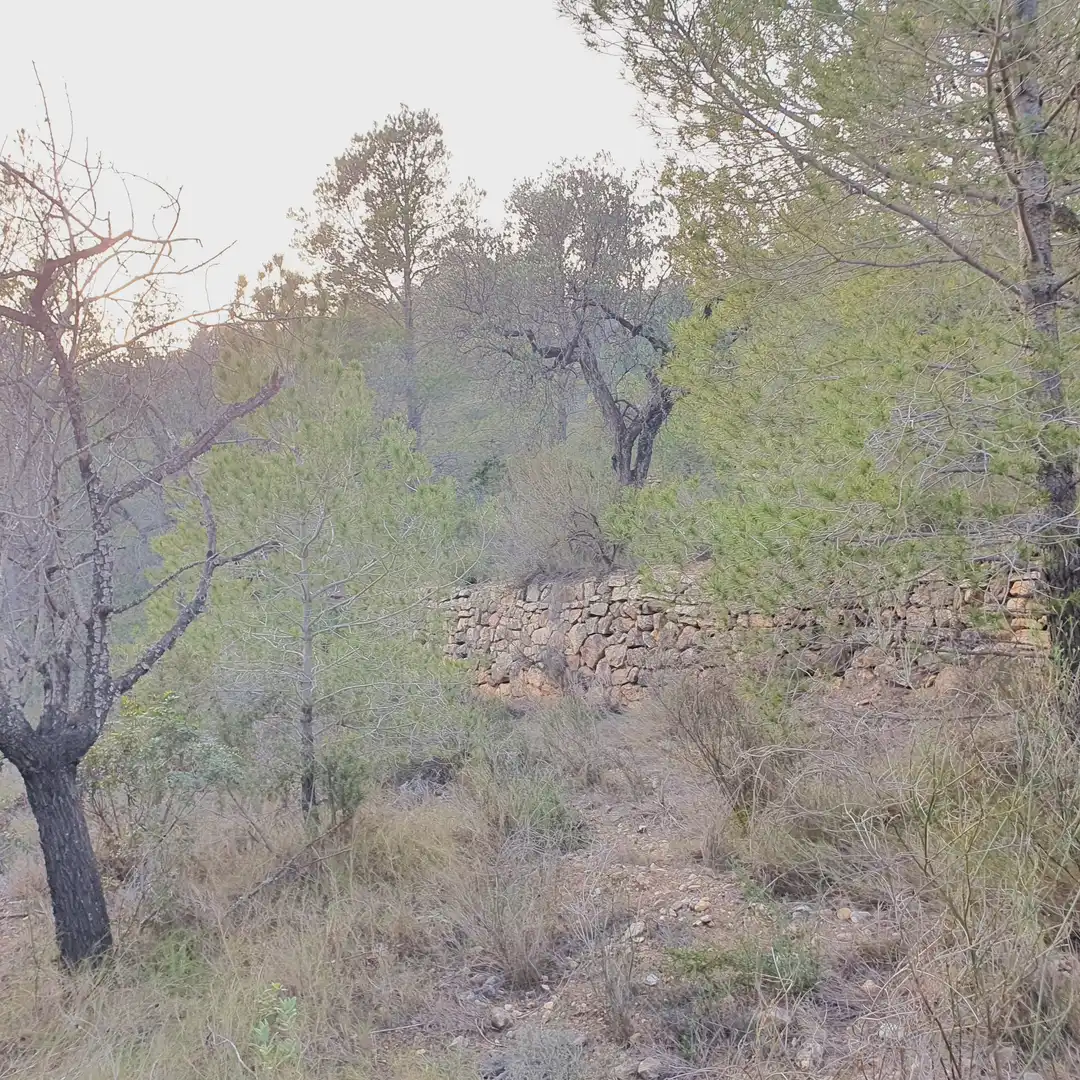 Rustikales Grundstück zum Verkauf in El Pinell de Brai, imagen 19