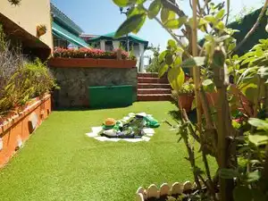Casa o xalet en venda a Buenavista, 32, Portada Verde - Lomo Espino - Guanche