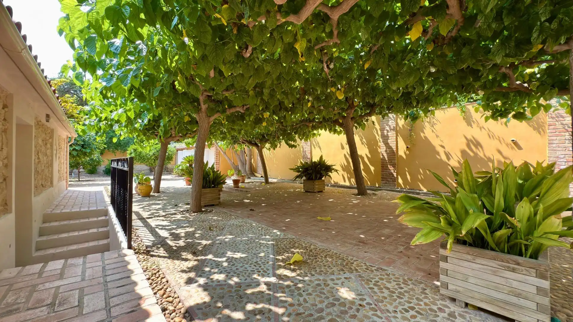 Vista exterior de Casa o xalet en venda en Alicante / Alacant amb Aire condicionat, Calefacció i Jardí privat