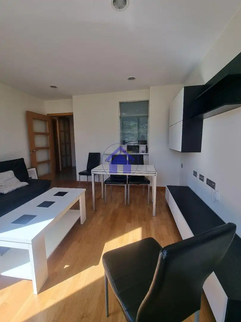 Sala d'estar de Apartament de lloguer en Vigo  amb Calefacció, Parquet i Traster