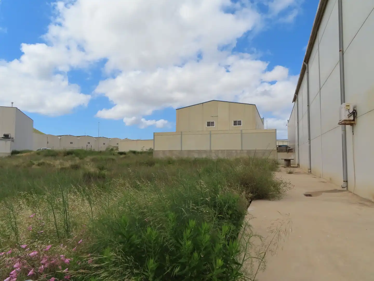 Industrial land for sale in La Unión ciudad, imagen 4