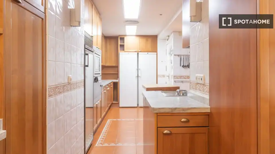 Kitchen of Flat for rent in Madrid  with Air Conditioner, Heating and Furnished
