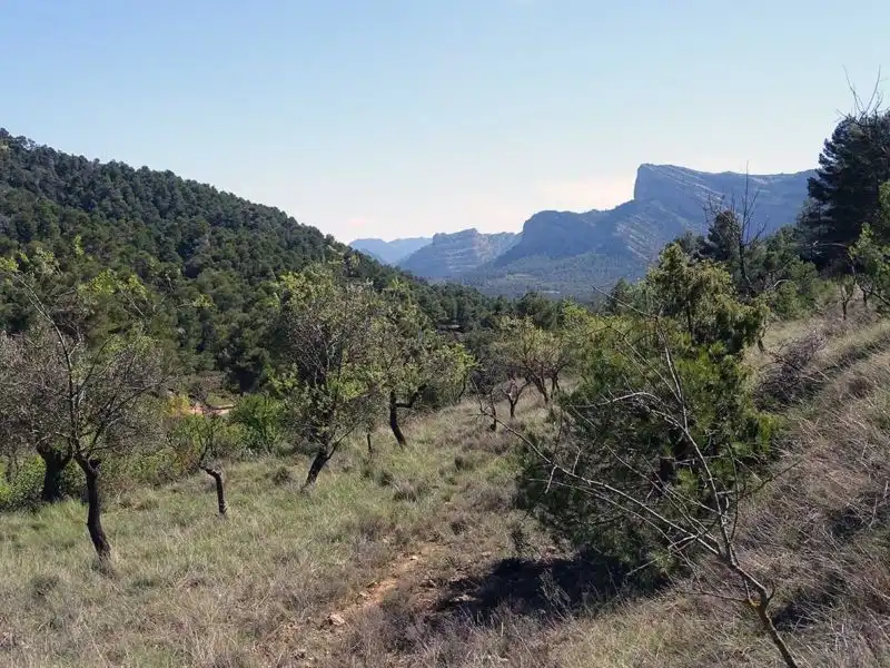Finca rústica en venta en Beceite