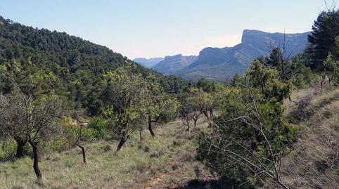 Foto 2 de Finca rústica en venda a Beceite, Teruel