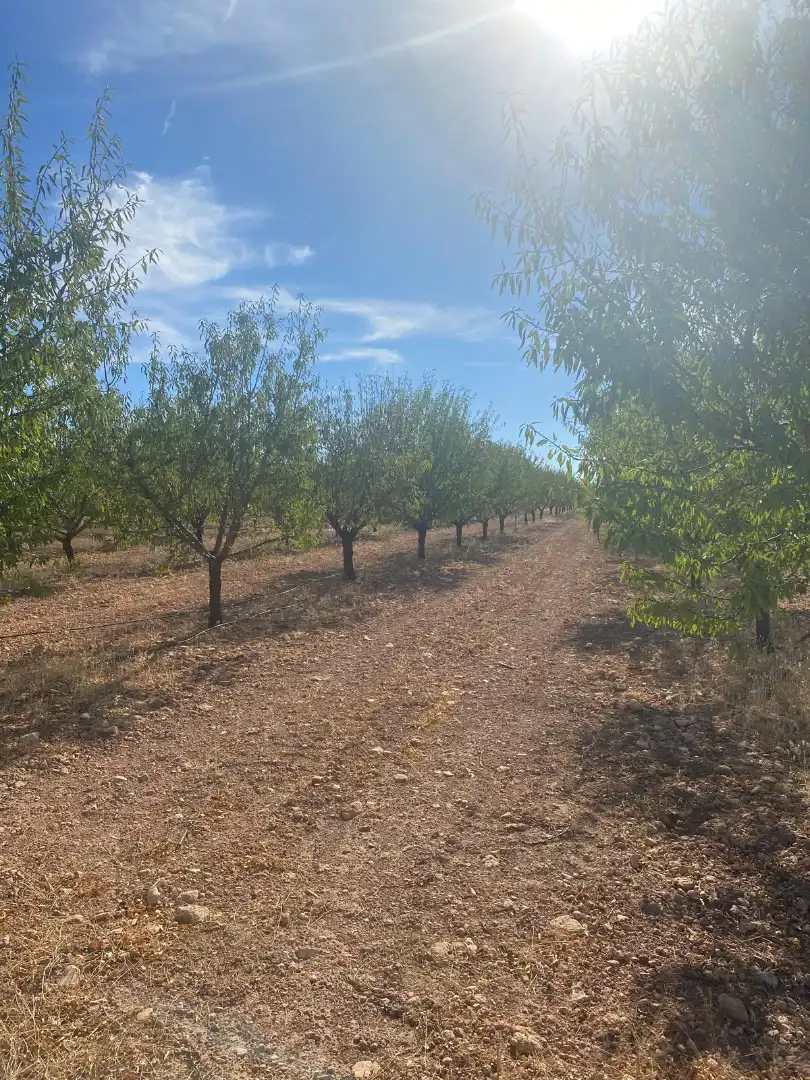 Terreno rustico in vendita a Calle García Pavón, imagen 35