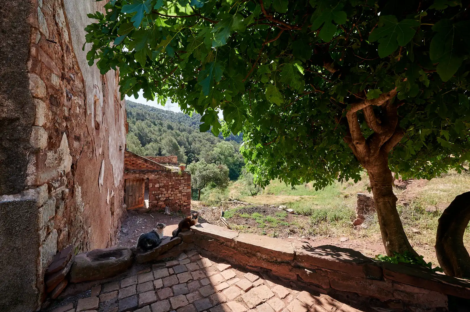 Casa rústica con jardín en venta en Sentmenat, imagen 6