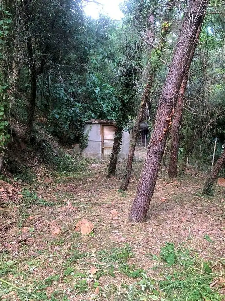 Finca rústica en venta en Arbúcies con Jardín privado, Terraza y Amueblado