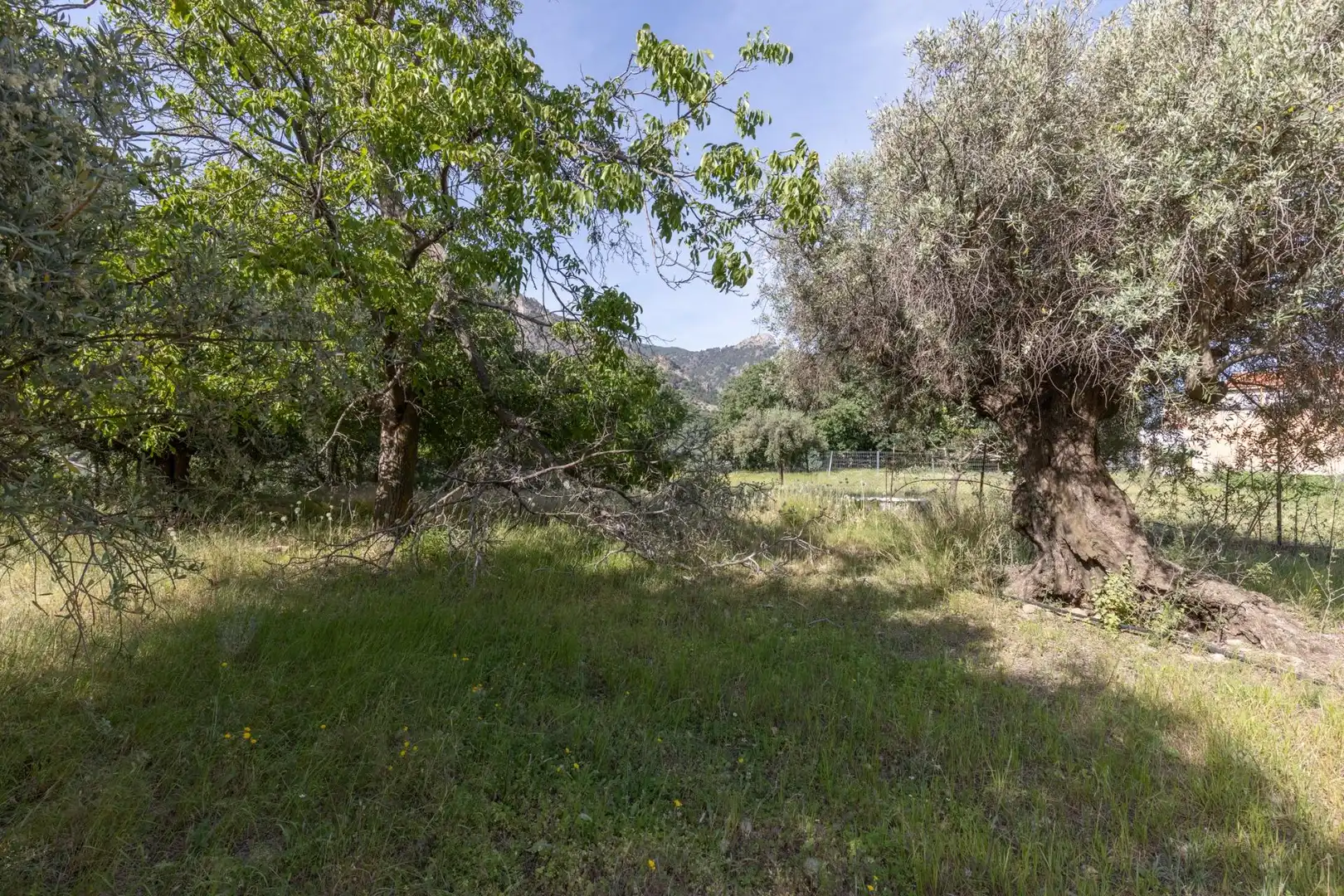 Lands and plots for sale in Carretera de Maitena, imagen 12