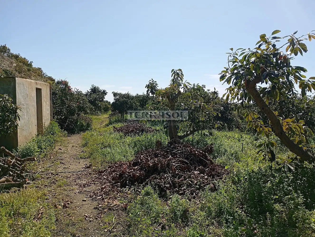 Grundstücke und Bauplätze zum Verkauf in Vélez-Málaga ciudad, imagen 17