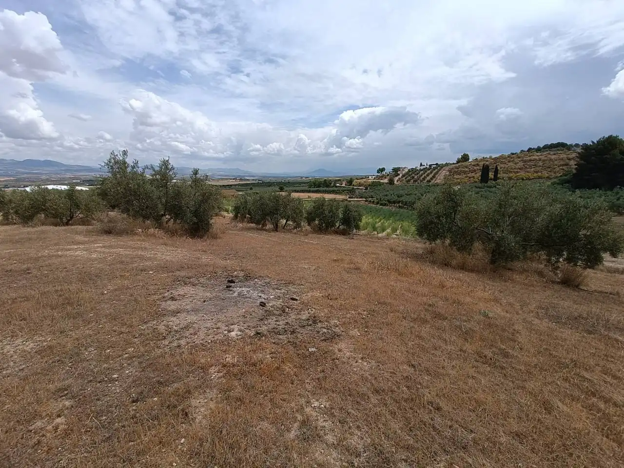 Rural land for sale in Moraleda de Zafayona, imagen 13