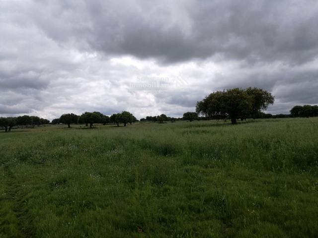 Terreno en Venta en Barrio del Centro