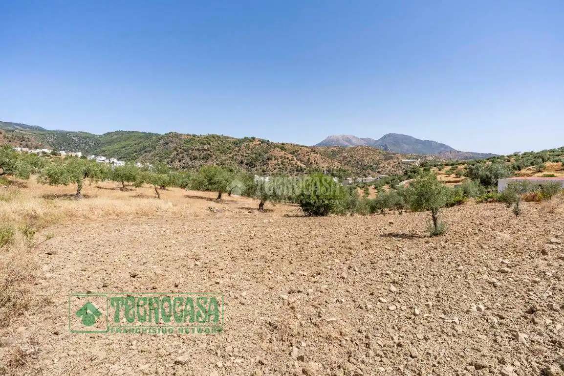 Land for sale in Tolox