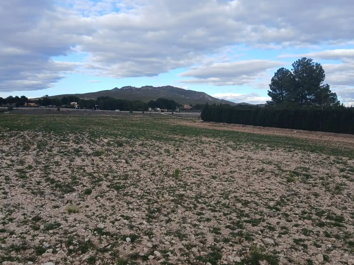 Residential land for sale in Yecla