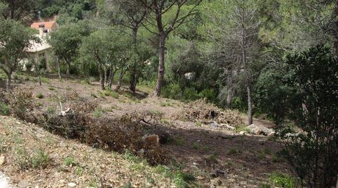 Parcela con vista a las Gavarres., imatge 3