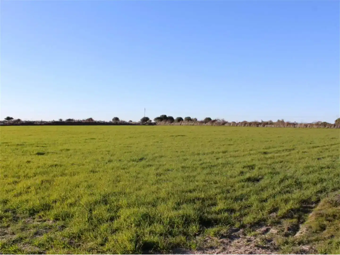 Land for sale in Carpio de Azaba