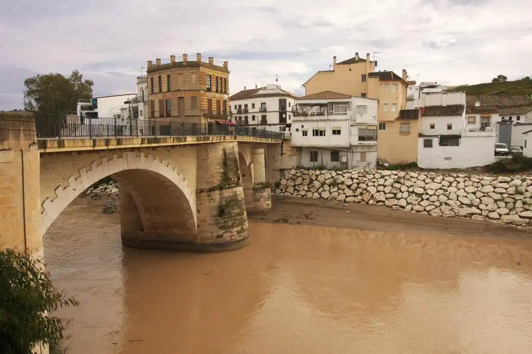 Vista exterior de Casa o chalet en venta en Puente Genil con Aire acondicionado
