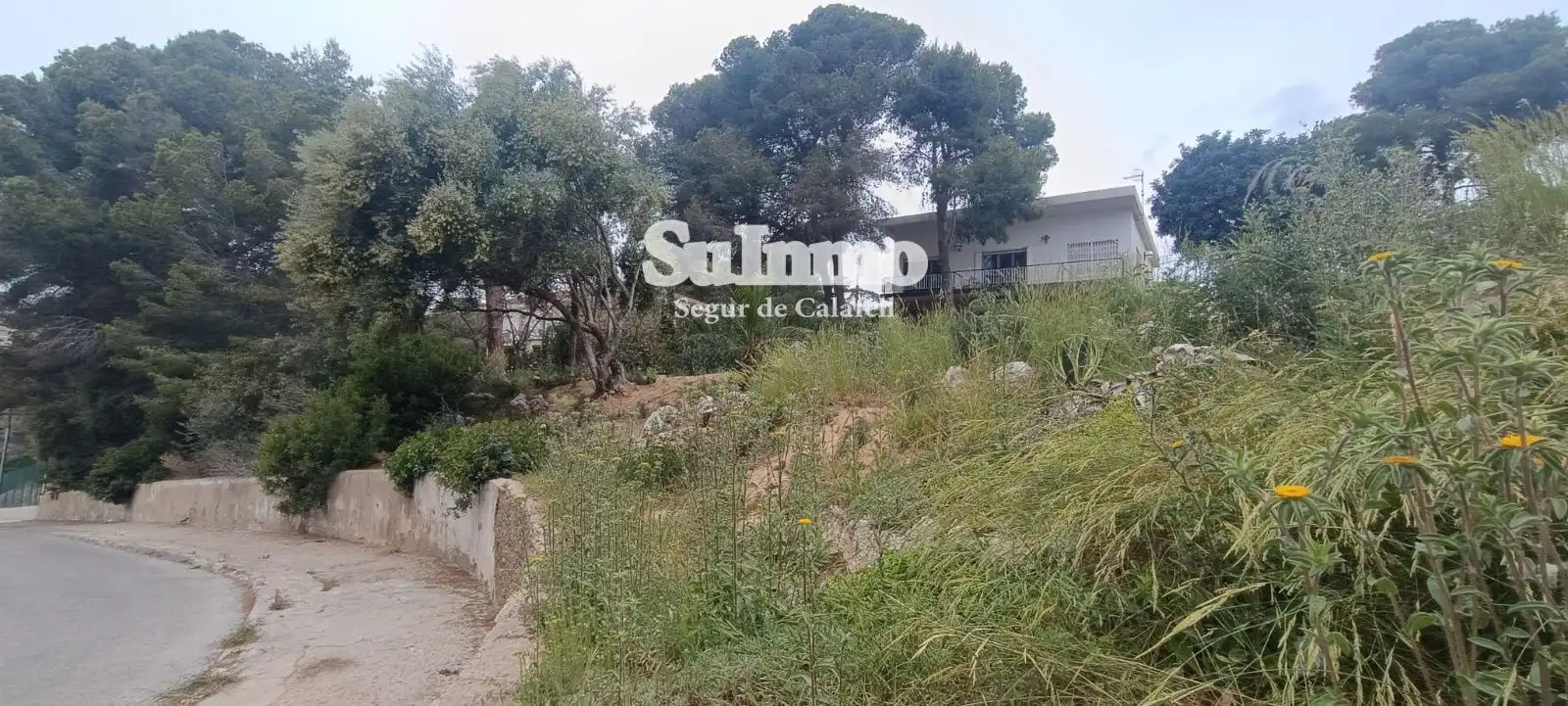 Rural land for sale in SAL, imagen 4