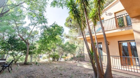 Vivienda con piscina, jardín y rodeada de naturaleza, imagen 4