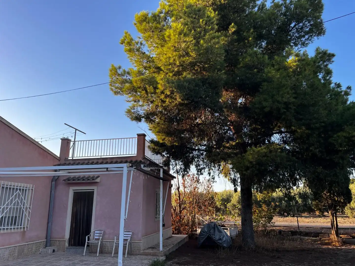 Casa o xalet en venda en Elche / Elx amb Jardí privat, Terrassa i Traster