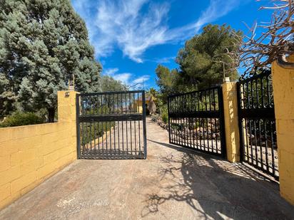 Jardí de Casa o xalet en venda en Llíria amb Jardí privat, Terrassa i Traster