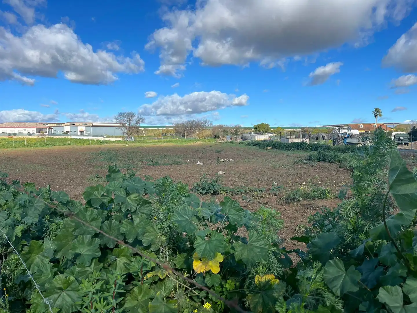 Terrenys i solars en venda a Coria del Río, imagen 7