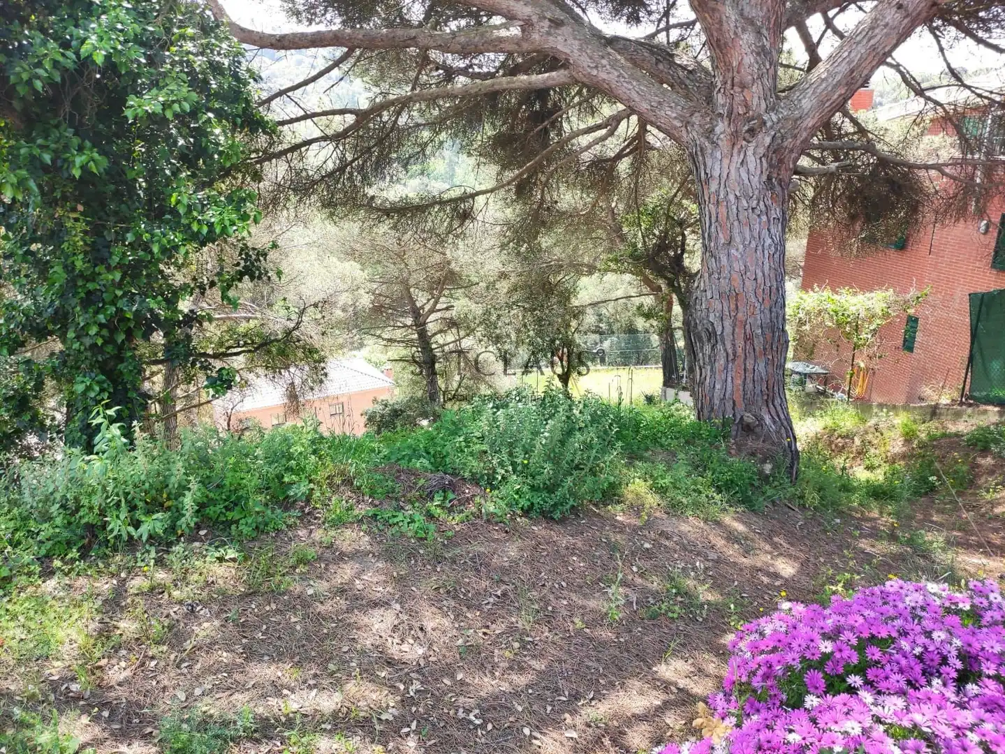 Terreno rústico en venta en Vallromanes, imagen 5