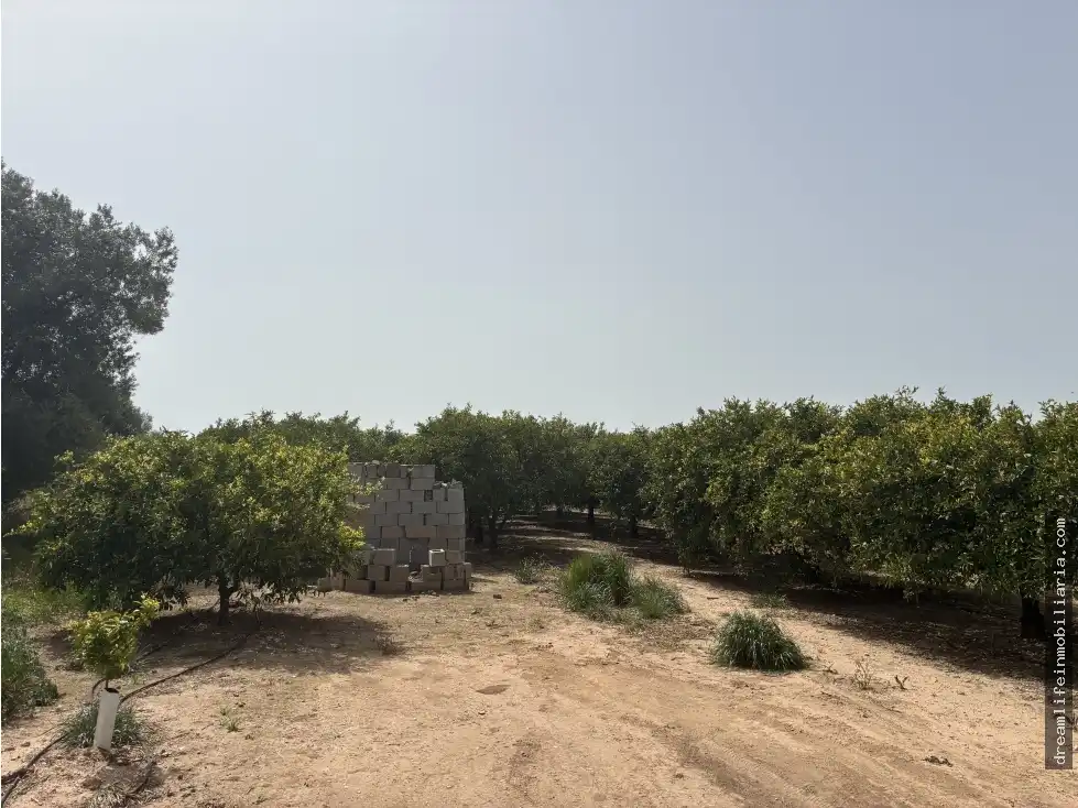 Terrenys i solars en venda a Playa - Ben Afeli, imagen 10