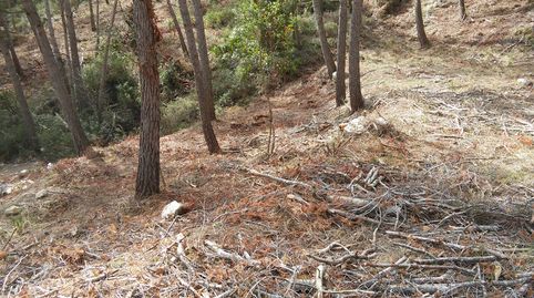 terreno en Olivella para tres torres, immagine 2