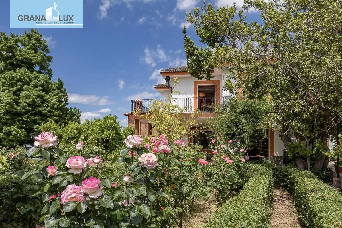 Chalet con piscina en venta en Calle del Albaricoque, imagen 34