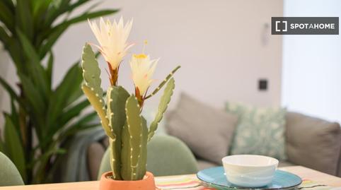 Photo 3 of Flat to rent in La Font d'en Fargues, Barcelona