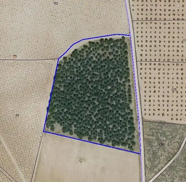 Rural land for sale in Valdepeñas