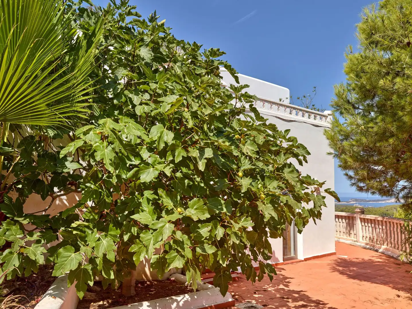 Jardín de Casa o chalet en venta en Sant Josep de sa Talaia con Aire acondicionado, Calefacción y Jardín privado