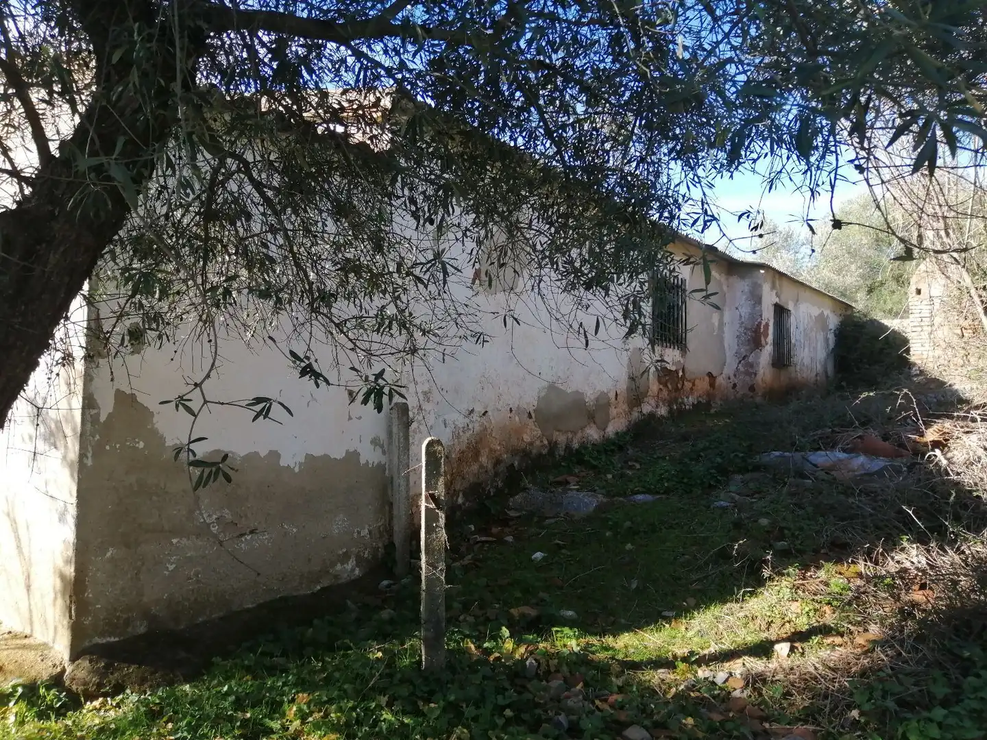 Terreni e lotti in vendita a Constantina, imagen 25