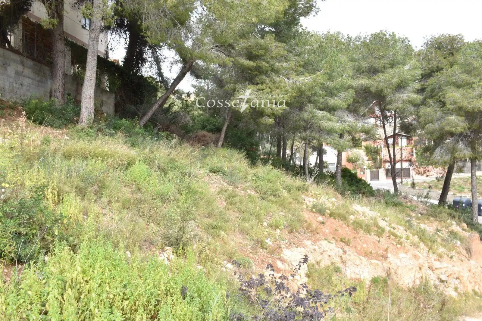 Rural land for sale in GLADIOL, imagen 3