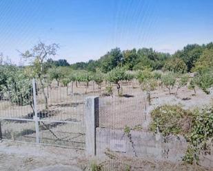 Residencial en venda en Amoeiro
