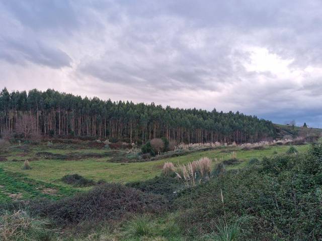 Terreno en Venta en Barrio Valmoreda, 10 en Oruña