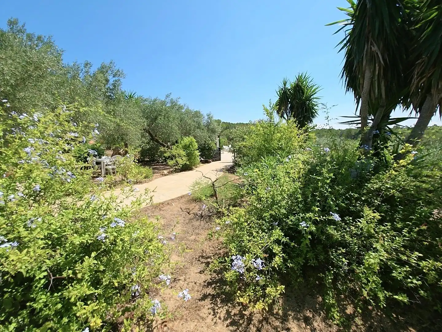 Garten von Country house zum Verkauf in L'Ametlla de Mar  mit Privatgarten, Terrasse und Schwimmbad