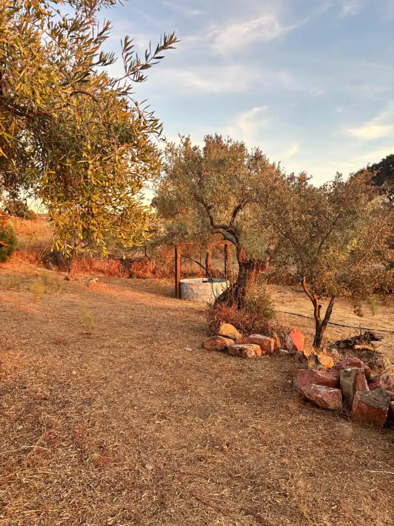 Garten von Grundstücke zum Verkauf in Cheles, Badajoz