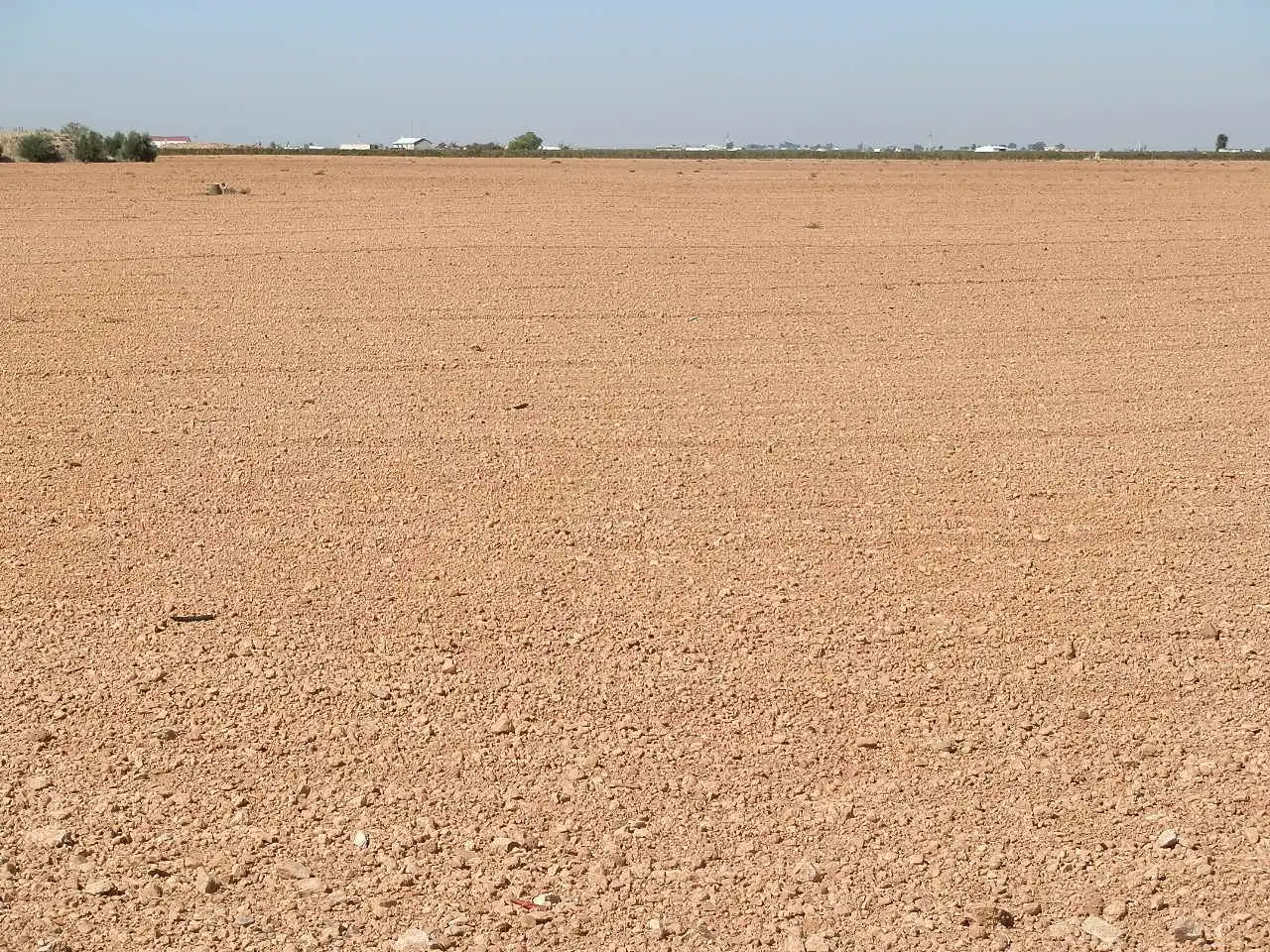 Rural land for sale in Valdepeñas, imagen 2