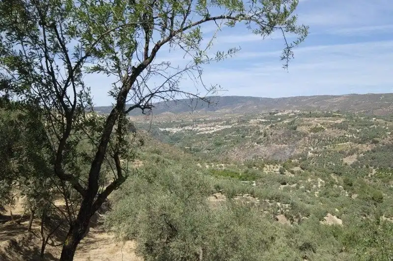 Terreno rustico in vendita a El Valle, imagen 12