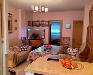 Living room of Flat for sale in Fregenal de la Sierra  with Air Conditioner, Terrace and Furnished