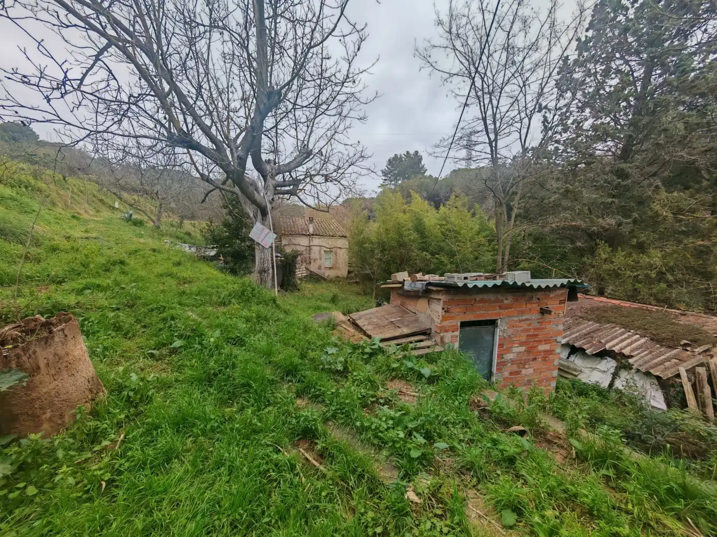 Terreno rustico in vendita a Zona Industrial, imagen 16