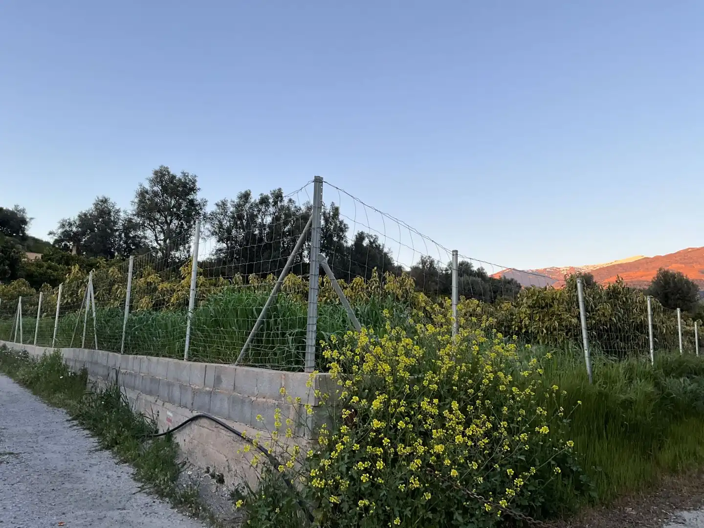 Terreni e lotti in vendita a Lecrín, imagen 5