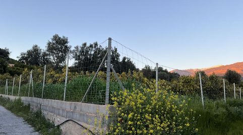 Terreno en venta en Murchas., immagine 5