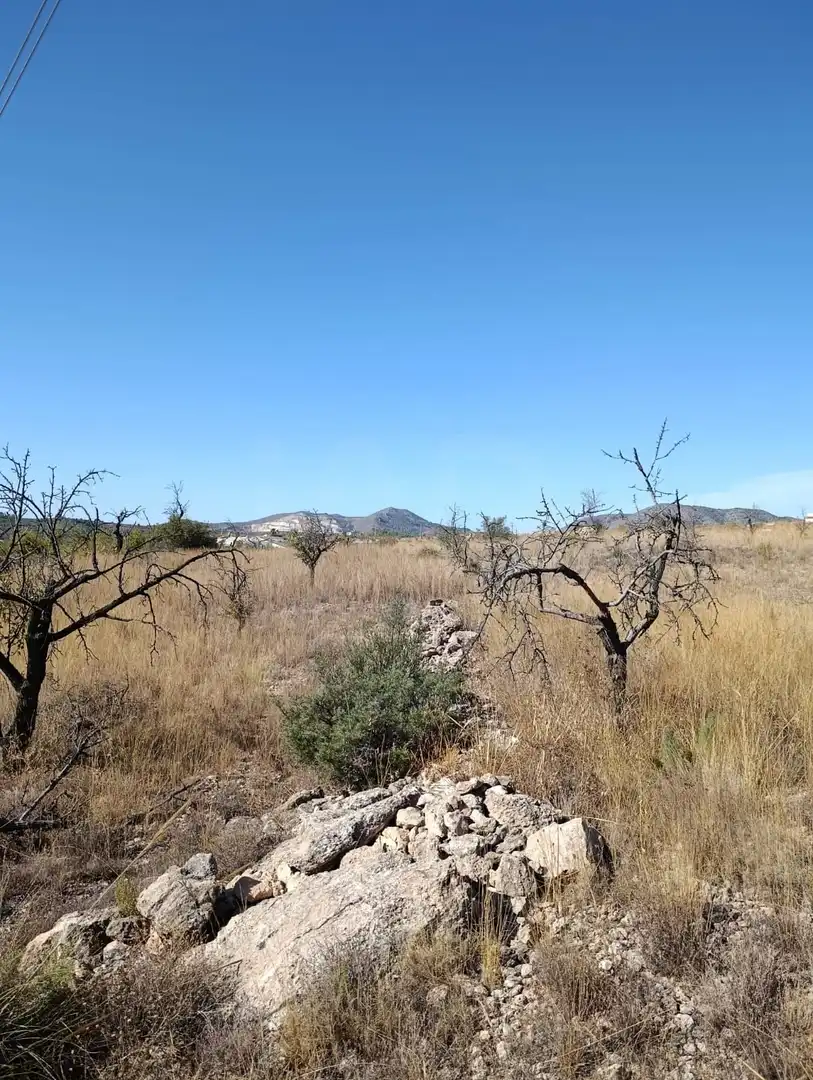Terreno rustico in vendita a Hondón de las Nieves / El Fondó de les Neus, imagen 20